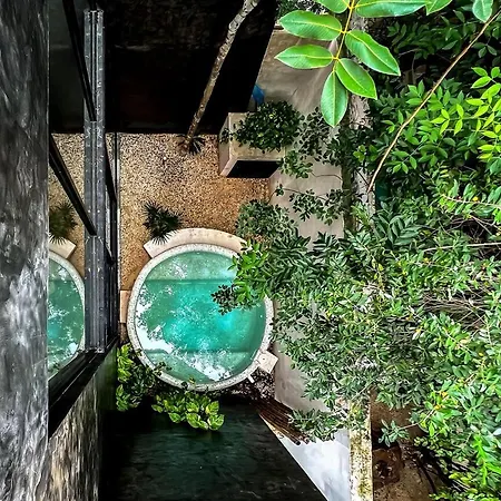 Beautiful House With Private Pool In Aldea Zama Villa